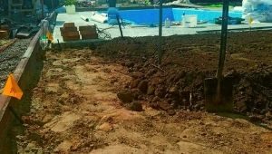 Создание газона в Киеве. Завоз чернозёма